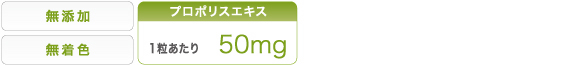 オススメポイント